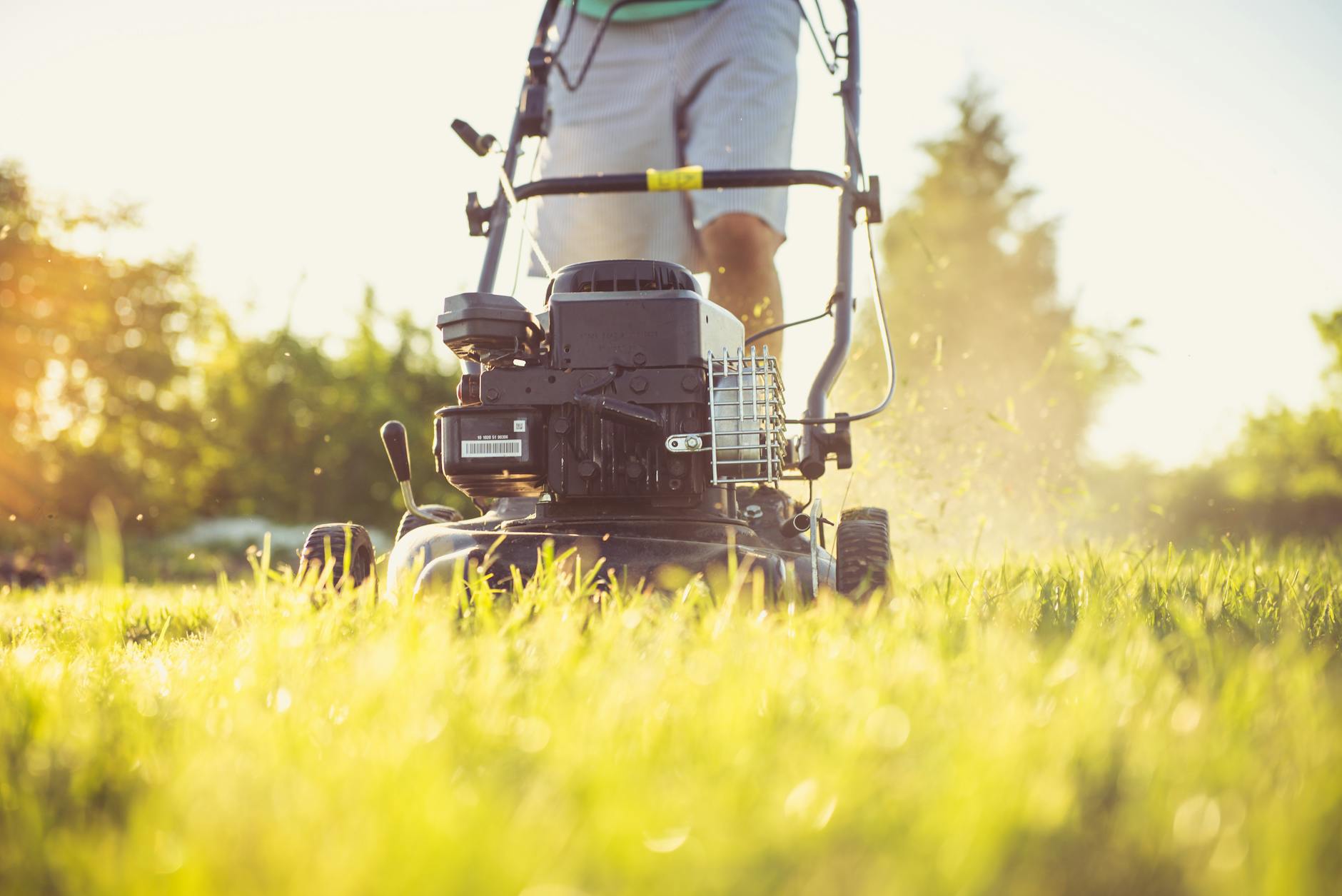 a person using a lawn mower